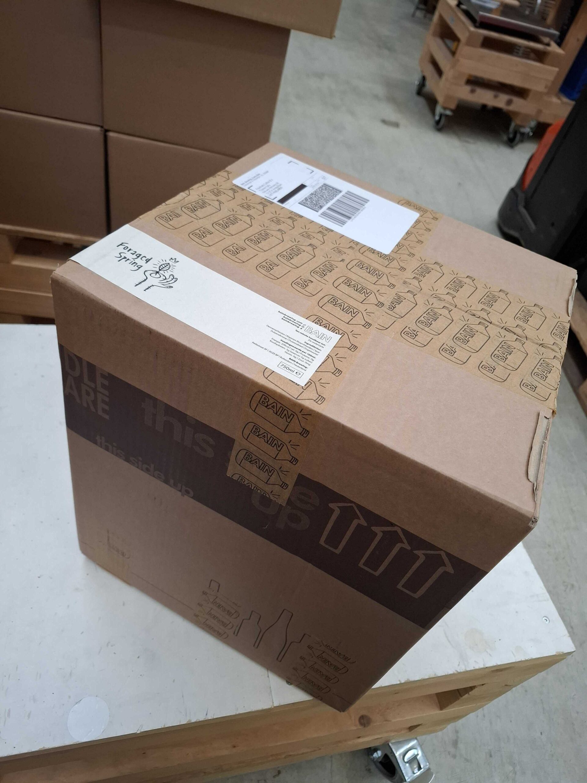 Bain Kombucha – Foraged Spring – Box of 8